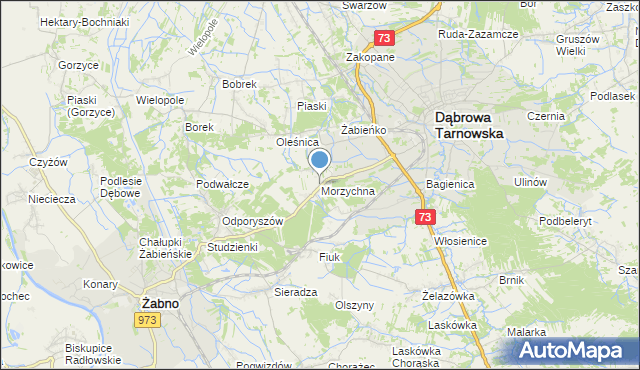 mapa Morzychna, Morzychna na mapie Targeo